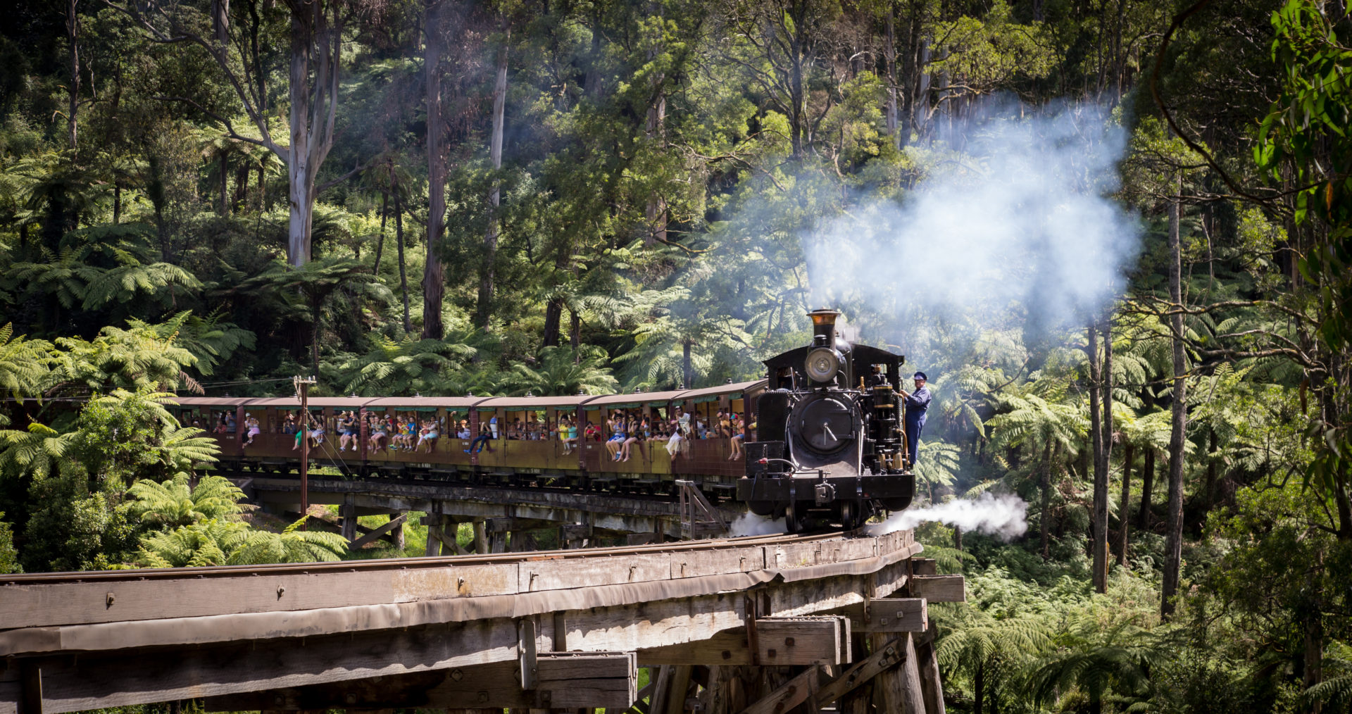 Puffing Billy Railway's 14A thunders across the Monbulk Creek trestle bridge with a train for Gembrook.